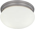 Designers Fountain 9 in 2-Light Flush Mount Ceiling Light with Frosted Glass Shade, Pewter, 4732-PW