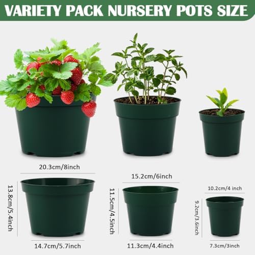 RooTrimmer 15 Pack 4/6/8 Inch Plant Nursery Pots, Sturdy Plant Pots with Drainage Holes, Ideal for Seedlings, Indoor/Outdoor Use, Green