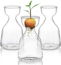 Hiceeden 3 Pack Avocado Seed Starter Vase for Growing, Glass Acorn Tree Growing Kit Vase, Small Avocado Tree Plant Pot Seed Planter, Flower Bud Vases Gift for Gardening Lovers