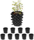 RooTrimmer 1 Gallon Air Pruning Containers, New Plastic Nursery Pots, Fruit Vegetable Garden Self-Planting Pots, Black (1G-10P)