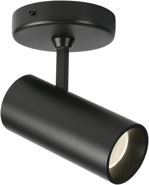 Aisilan LED Black Ceiling Spotlight 12W Adjustable 90° Degrees Anti-Glare Directional Modern LED for Indoor Foyer Living Room Natural White 4000K, Aluminum Modern Lights
