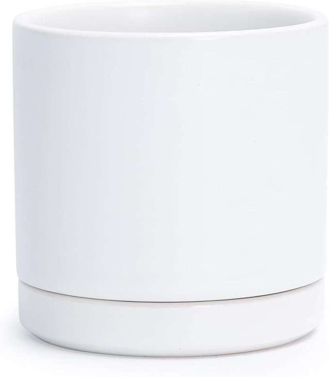 D'vine Dev 3.5 Inch Ceramic Planter Pot with Drainage Hole and Saucer, Indoor Cylinder Round Planter Pot, White, 94-O-A-1