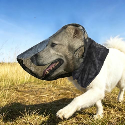 Foxtail Mask for Dogs, Field Net Guard Dog Foxtail Protection Hood for Dogs Prevent Foxtails Thorns Rocks Insects, Lightweight Adjustable Dog Face Guard for Hiking, Outdoor Adventures (S)