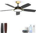 Roomratv Ceiling Fans with Lights,52 inch Smart Ceiling Fans with Dimmable LED Light Compatible with Google Home Alexa App Control(Black Gold