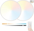 20 Inch Large LED Flush Mount Ceiling Light Fixture,45W,4600LM,3000K/4000K/6000K CCT Selectable,0.9 inch Super Slim Round Ceiling Light for Bedroom,Hallway,Kitchen (Dimmable White 2PK)