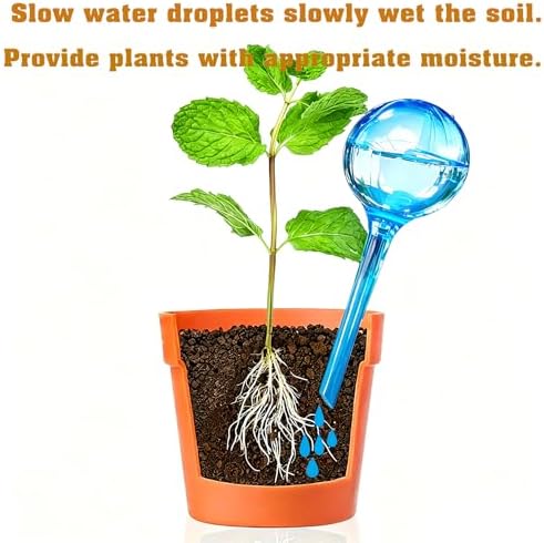 Large 12pcs Plant Watering Globes, Plant Watering Bulb Indoor Potted Plant