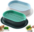 2Pcs Cat Grass Planter for Indoor Hydroponic Wheatgrass Seed Sprout Tray Organic Cat Grass Growing Kit (No Seeds Included) Soilless Pot Planting Box (G)