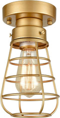 Industrial Flush Mount Ceiling Light Fixture, Gold Farmhouse Mini Metal Cage Light, Vintage Rustic Close to Ceiling Light Fixture for Kitchen Hallway Entryway Entrance Stairway Laundry Room
