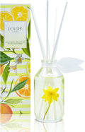 LOVSPA Reed Diffuser Set, Coastal Citrus Scented Oil Diffuser with Sticks, Home Fragrance Accessories for Bathroom Shelf Decor, Aroma Diffusers for Home or Office Desk, USA Made