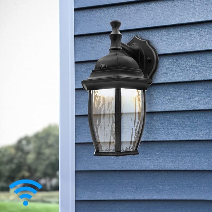 Maxxima Luvoni Smart WiFi LED Outdoor Wall Light, Black w/Clear Water Glass, App Controlled Porch Lantern, 850 Lumens, CCT 2700K - 6500K, Dimmable, Works with Google Home/Alexa