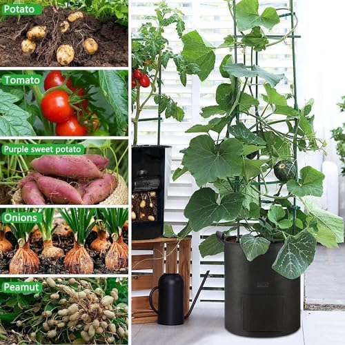 4 Packs 10 Gallon Potato Grow Bags, Heavy Duty Nonwoven Fabric Pots with Handles for Planting Vegetables, Flowers