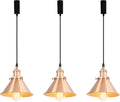 3-Pack Adjusted Wire Length H-Type Track Hanging Light 3.9 Ft Black Cord E26 Base Red Bronze Metal Pendant Light Fixture,Industrial Style Lamp for Aisle Bedroom Balcony(No Bulb,No Track)