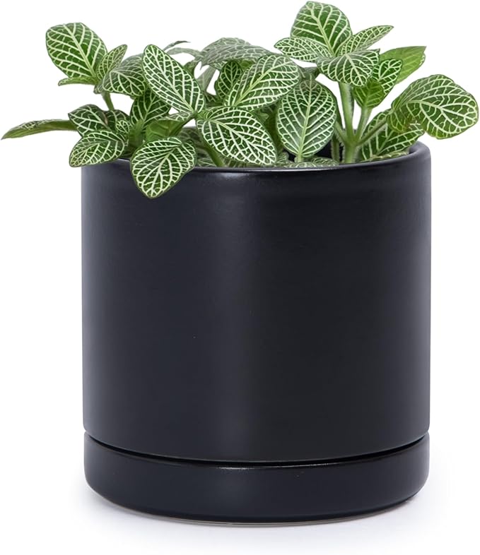 D'vine Dev 3.5 Inch Ceramic Planter Pot with Drainage Hole and Saucer, Indoor Cylinder Round Planter Pot, Black, 94-O-A-2