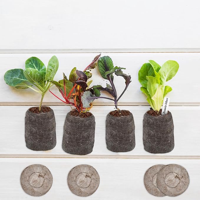 ZeeDix 100 Pcs 30mm Peat Pellets Seed Starter Soil Pods Plugs for Vegetable, Seedling Soil Block Compressed Peat Nutrient Seed Pods for Planting Easy Transplant