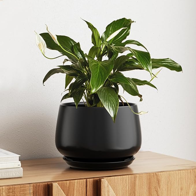 LE TAUCI Ceramic Planter, 10 Inch Plant Pot with Drainage Hole & Saucer – Durable Indoor Planter for Modern Home Decor, Black