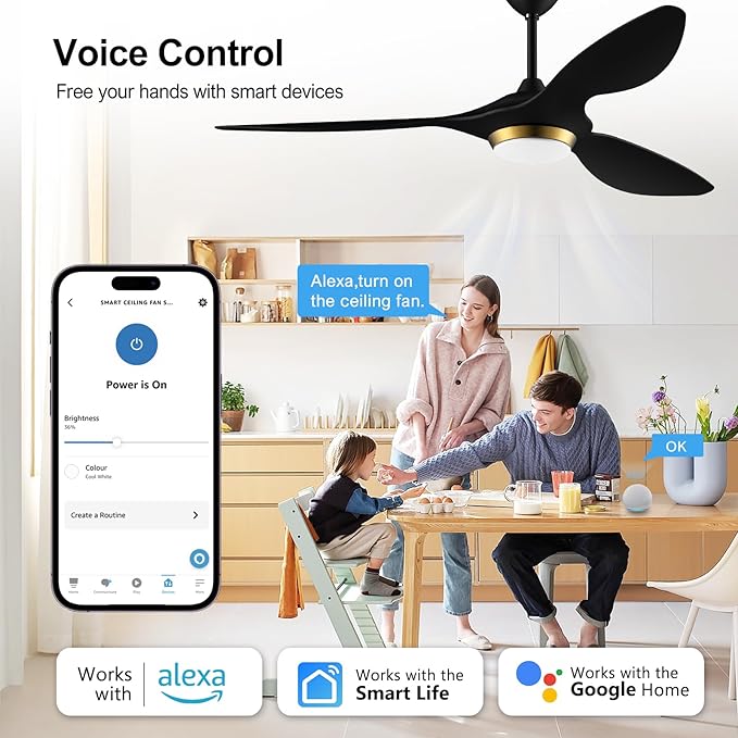 reiga 52 Inch Black Modern Ceiling Fans with Lights and Remote Control, Smart WiFi 3 Blades Quiet DC Motor for Living Room Bedroom Patio Garage, ETL Listed