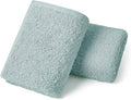 REDKISS 2-Pack Luxury Hand Towels, 16x32 Inch 450 GSM 100% Cotton, Super Soft