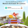 birdsnap® TUC Bird Feeder with Camera 2K HD, Solar Panel 32GB Card 4-in-1 Perch, 160°View Auto Detect & Notify AI Identify Video Bird Camera Wireless Outdoors Ideal Gift for Birds Lover