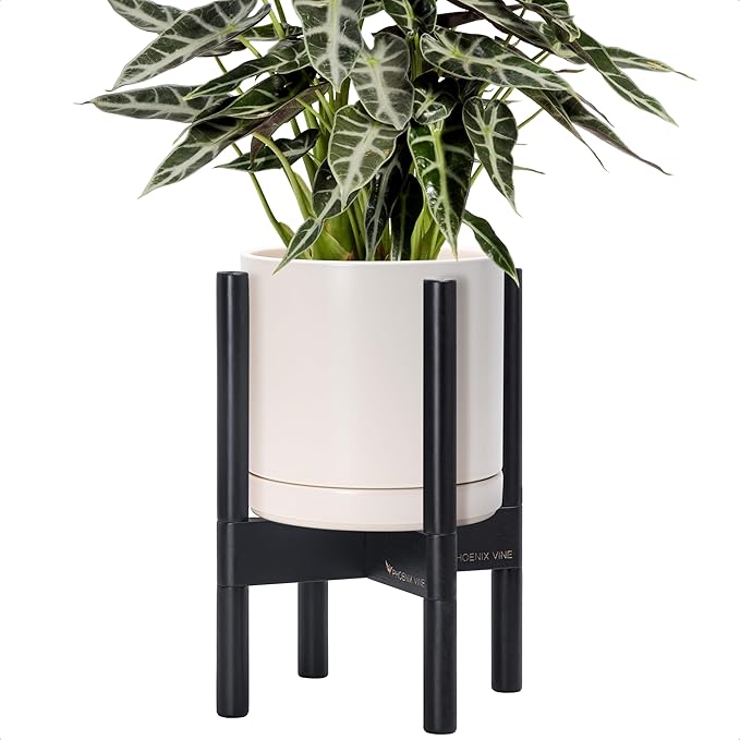 D'vine Dev Ceramic Planter with Ebony Stand - 8 Inch Modern Round Flower Pot with Wood Planter Holder, Oatmeal, 55-B-M-8