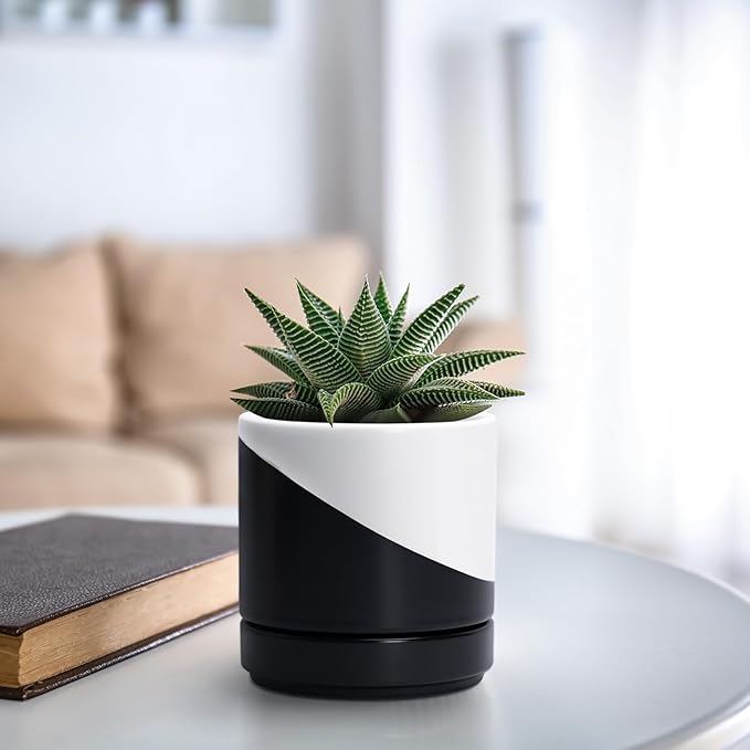 D'vine Dev 4.7 Inch Ceramic Planter Pot with Drainage Hole and Saucer, Indoor Cylinder Round Planter Pot, Oblique Monochrome Black and White, 94-O-B-K