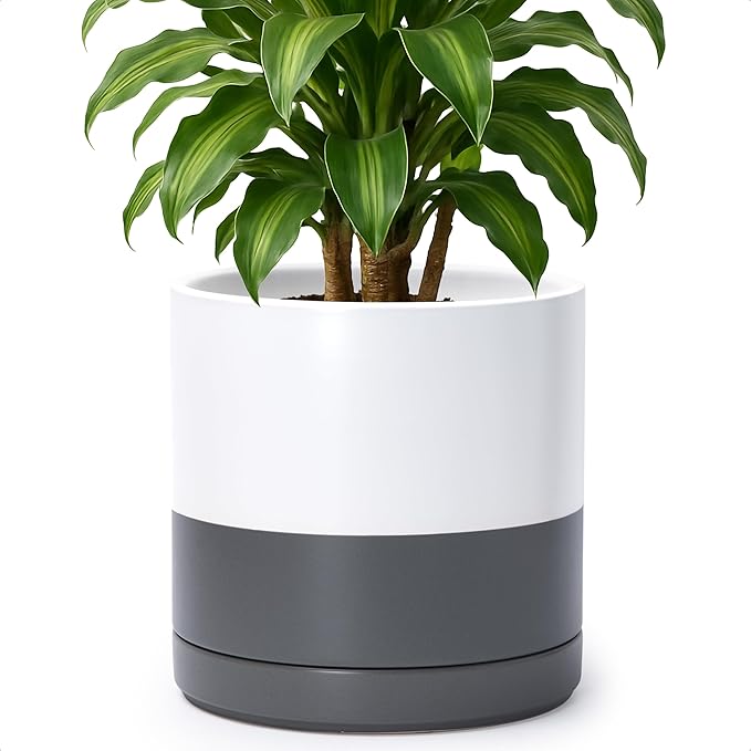 D'vine Dev 10 Inch Ceramic Planter Pot with Drainage Hole and Saucer, Indoor Cylinder Round Planter Pot, White/Speckled Grey, 94-O-E-6
