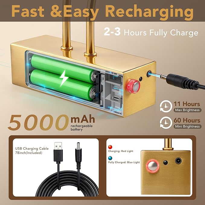 RAIFOOLLY Picture Light, Picture Lights for Wall Cordless, 13inch Picture Lights with Timer and Dimmable, 5000mAh Battery Wall Lights for Display Gallery Painting Art Frame Portrait - Copper