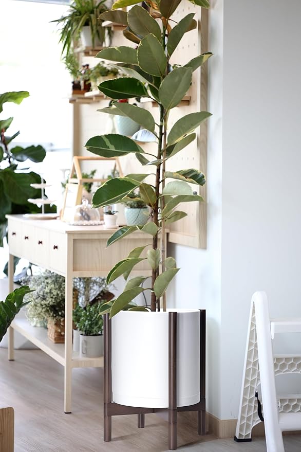 D'vine Dev Planter with Stand - 12 Inch Plastic Cylinder Flower Pot with Wood Holder for Indoor, Matte White Pot + Walnut Color Stand, 55-C-O-1