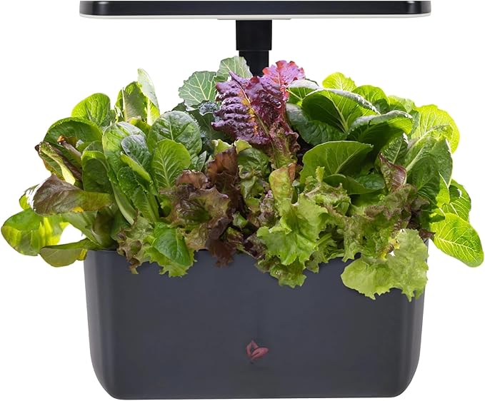 AeroGarden Harvest 2.0, Indoor Garden Hydroponic System with LED Grow Light, Holds up to 6 Pods, Charcoal