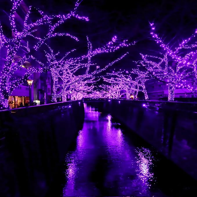 2-Pack 200 LED Solar Fairy Lights Outdoor, Upgraded Oversize Lamp Beads & Super Bright Solar String Lights Outoor, 8 Modes Solar Lights for Garden Patio Decorations(Purple)