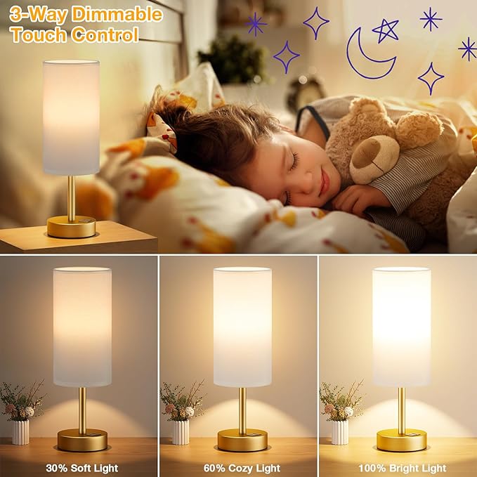 Dicoool Small Touch Bedside Lamp with USB - 3 Way Dimmable Table Lamp for Bedroom, Nightstand Lamp with Gold Charging Station for Desk Dorm, Office