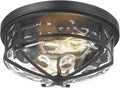 Darkaway 15inch Ceiling Light Fixtures Large Flush Mount Light Fixtures with Water Ripple Glass Shade, Indoor Outdoor Ceiling Light for Kitchen Bathroom Bedroom Hallway Entry Porch