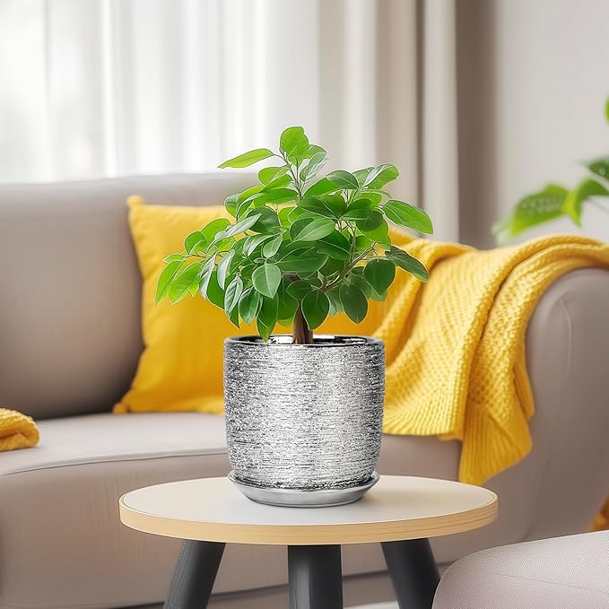 Ceramic Plant Pot 5 Inch - Indoor Planter with Drainage Hole and Saucer, Round Modern Flower Pot for Succulent Plants, Housewarming Gifts, Office Home Desk Decor, Silver