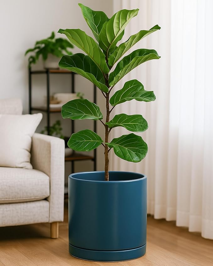 D'vine Dev 12 Inch Ceramic Planter Pot with Drainage Hole and Saucer, Indoor Cylinder Round Planter Pot, Teal, 94-O-F-9
