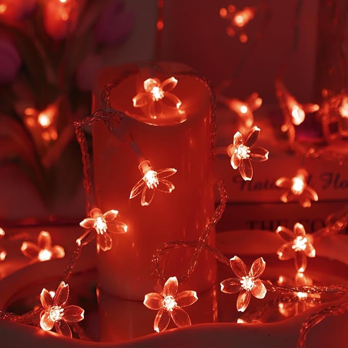Battery Lighted & USB Plug in Fairy Flower String Lights, 9.8 ft 30 LED Cute Cherry Blossom Lights with Timer Indoor Bedroom Party Wedding Christmas Easter Tree Branch Hanging Decorations (Red)
