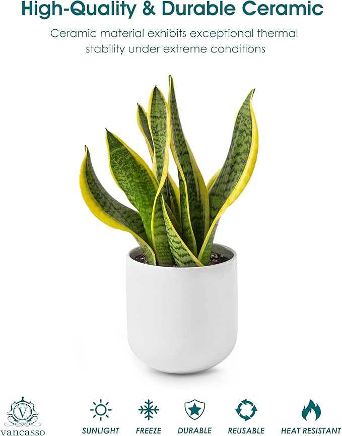 vancasso 6 Inch Ceramic Plant Pots, Planters with Drainage Hole, Flower Pots Planters Pots for Indoor Plants, Modern Indoor Decorative Garden Pot, Home Decor, White
