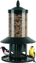 Squirrel-Proof Bird Feeder for Outdoor. Forest Green