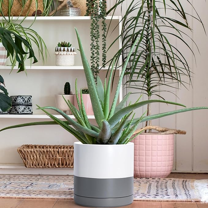 D'vine Dev 10 Inch Ceramic Planter Pot with Drainage Hole and Saucer, Indoor Cylinder Round Planter Pot, White/Speckled Grey, 94-O-E-6