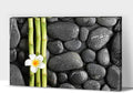 Zen Wall Art Decor, Modern Bathroom Zen Decor Wall Art, Canvas Wall Art for Spa Zen Room Decor, Green Bamboo Forest and Black Pebble Relaxing Art Prints for Office & Spa Wall Decor 28x40 Inches