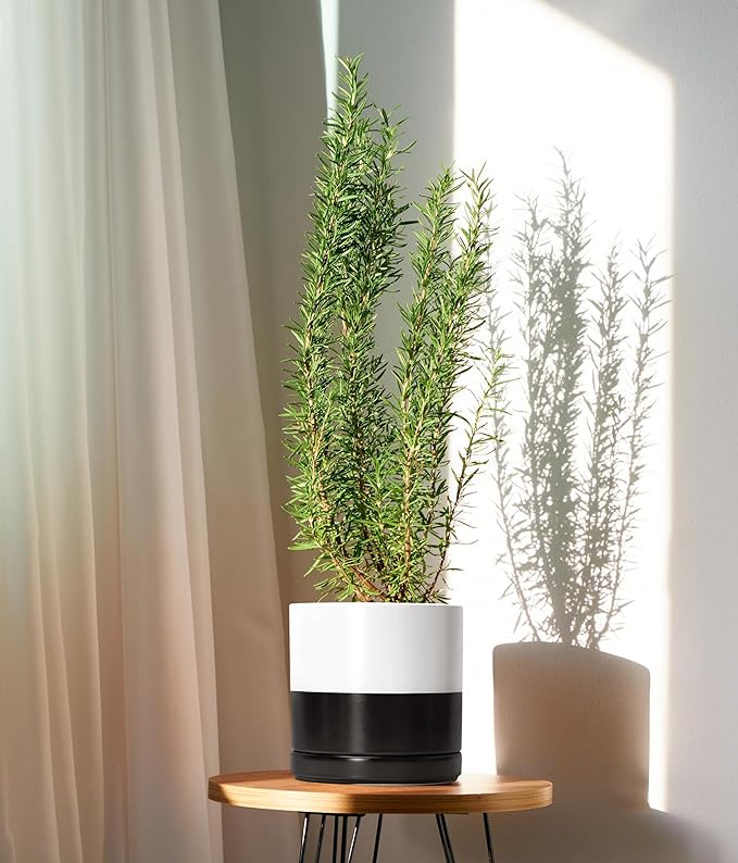 D'vine Dev 8.2 Inch Ceramic Planter Pot with Drainage Hole and Saucer, Indoor Cylinder Round Planter Pot, Layered Monochrome Black & White, 94-O-D-L