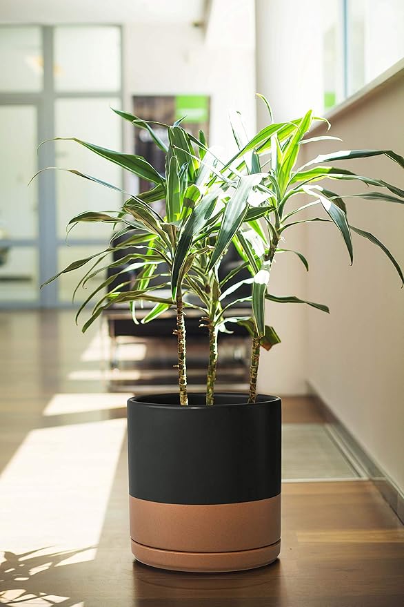 D'vine Dev 8 Inch Ceramic Planter Pot with Drainage Hole and Saucer, Indoor Cylinder Round Planter Pot, Black/Speckled Tan, 94-O-D-7