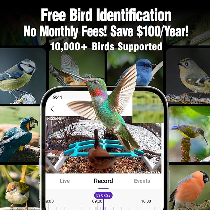 No-Monthly-Fees Solar Bird Feeder with 4MP Camera, Free AI Birds Species Identification, 2.5K Smart Bird House with Cam, Instant Arrival Alerts, Squirrel-Proof, Ideal