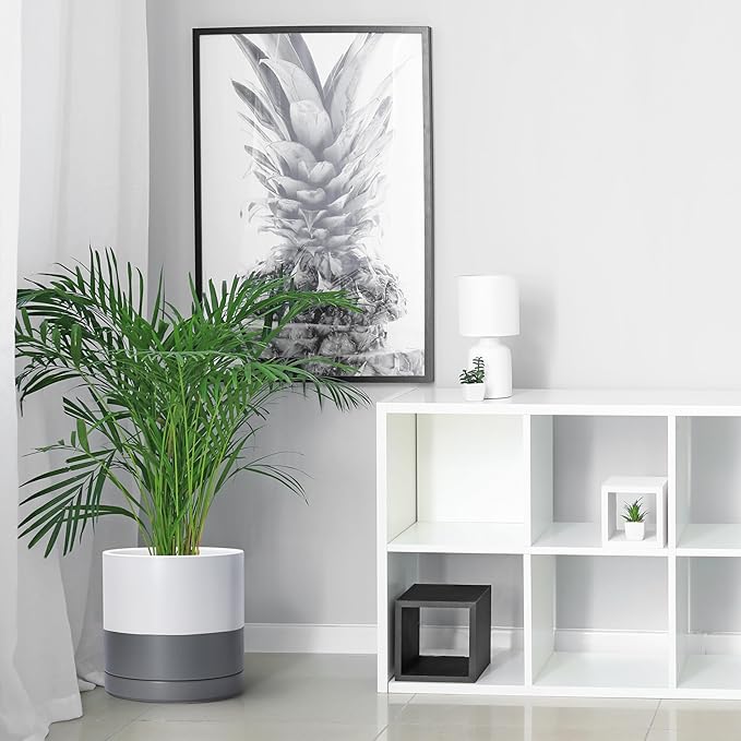 D'vine Dev 10 Inch Ceramic Planter Pot with Drainage Hole and Saucer, Indoor Cylinder Round Planter Pot, White/Speckled Grey, 94-O-E-6
