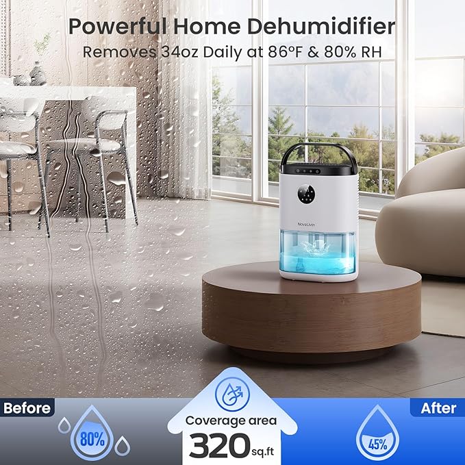 Dehumidifier for Bathroom, Dehumidifiers for Home, Living room