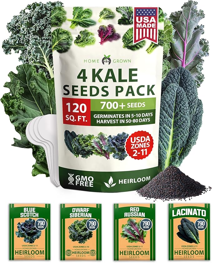HOME GROWN Heirloom Vegetable Seeds Vegetable Seeds for Planting Home Garden, Beans, Carrots, Peppers, Cucumber, Kale, Pepper Seeds, Tomato (4 Kale)