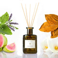 PRISTINE Casa Particular/Inspired by Wyndham Reed Diffuser for Home | Rich Blend of Tobacco Leaves, Sweetness of Guava Reed Diffuser Set, Oil & Reed Diffuser Sticks | Home & Office Decor