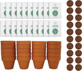 BUZZY Seeds Forget Me Not Flower Grow Kit Bulk 20pk Mini Terracotta Pots Gardening Starter Set for Kids and Adults, Wedding Favors, Baby Shower Prizes, Classroom Project Kits