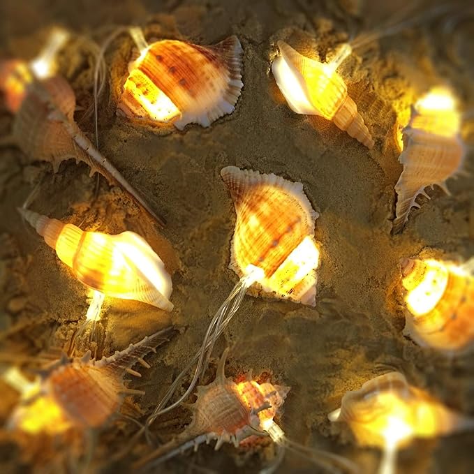 LED String Lights, Ocean Conch Beach Themed Battery Powered 9.18 ft 10 LEDs Lights for Indoor, Outdoor Decoration Projects (Warm White)