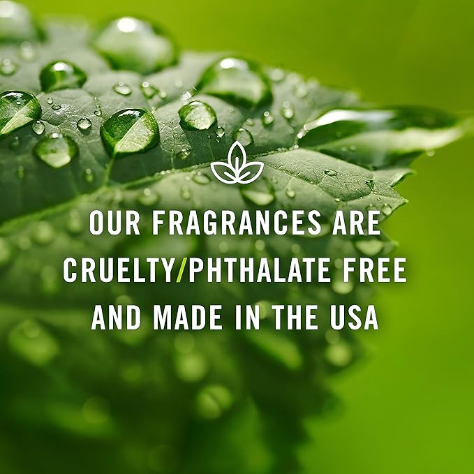 P&J Trading Fragrance Oil | French Vanilla Oil 30ml - Candle Scents for Candle Making, Freshie Scents, Soap Making Supplies, Diffuser Oil Scents