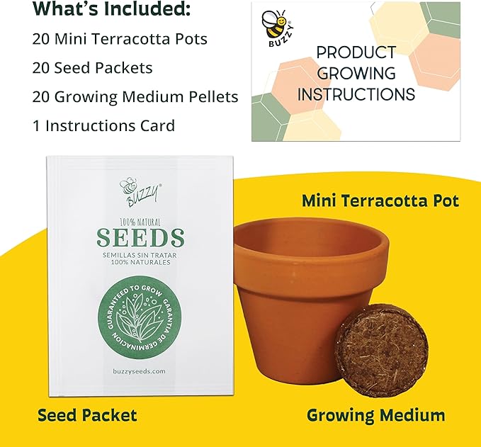 BUZZY Seeds Forget Me Not Flower Grow Kit Bulk 20pk Mini Terracotta Pots Gardening Starter Set for Kids and Adults, Wedding Favors, Baby Shower Prizes, Classroom Project Kits