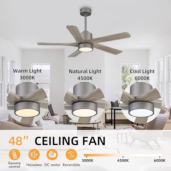 WINGBO 48 Inch DC Ceiling Fan